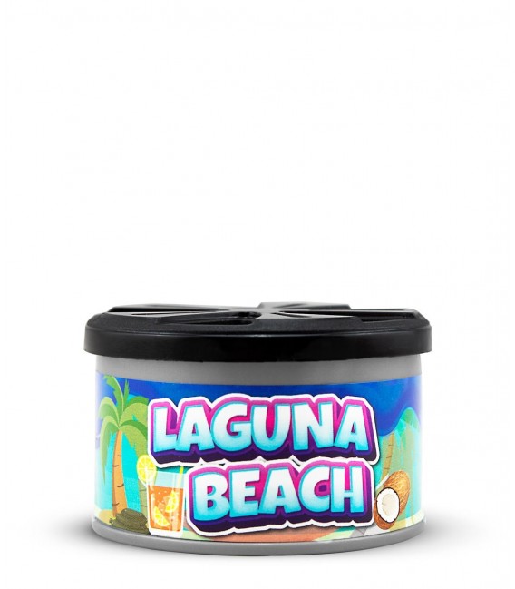 Laguna Beach - Car Scent Ambientador